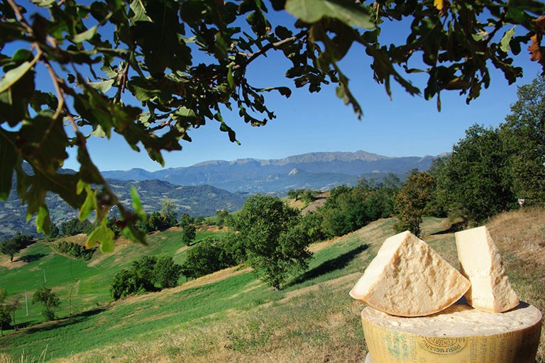 Galleria panoramica