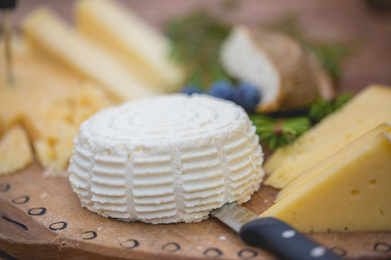 Img Gastronomia