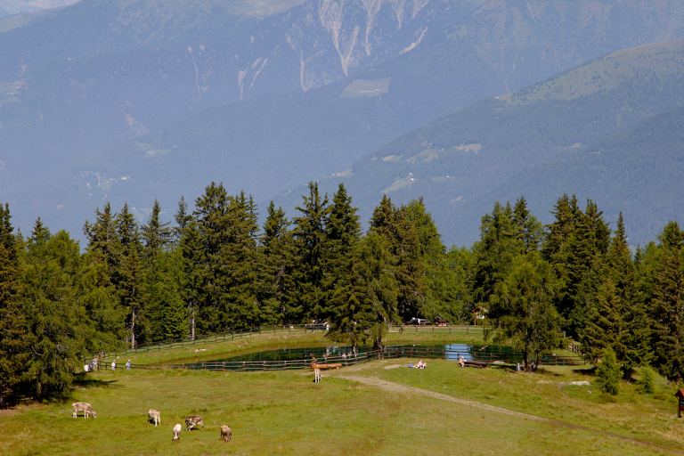 Galleria panoramica