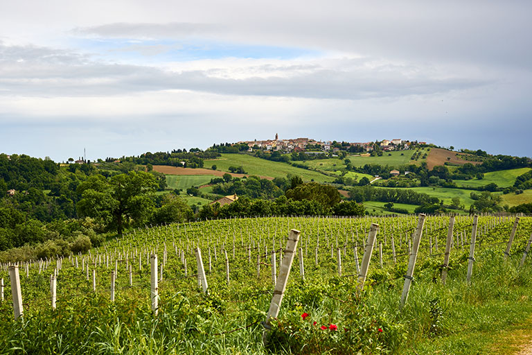 Galleria panoramica