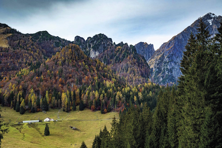 Galleria panoramica