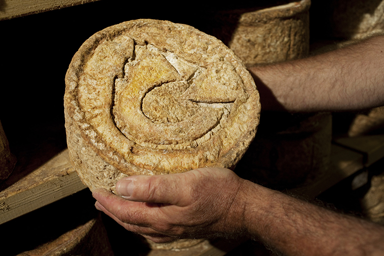 Img Gastronomia